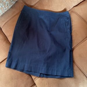 LL Bean Pencil Skirt (Navy Blue)